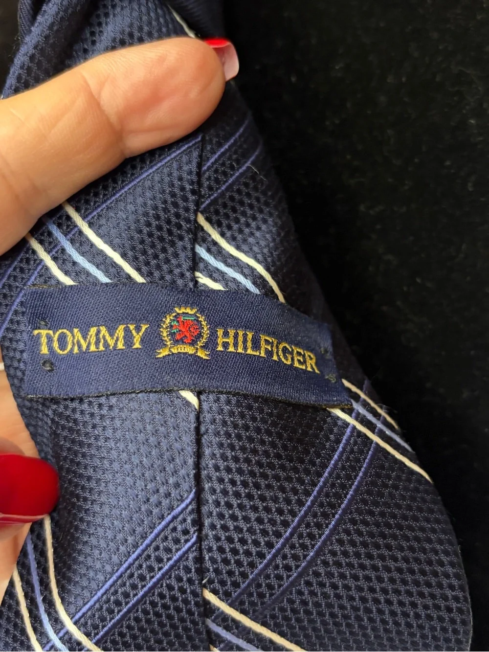 Tommy Hilfiger Navy Blue Diagonal Stripe Tie with Crystal Accents